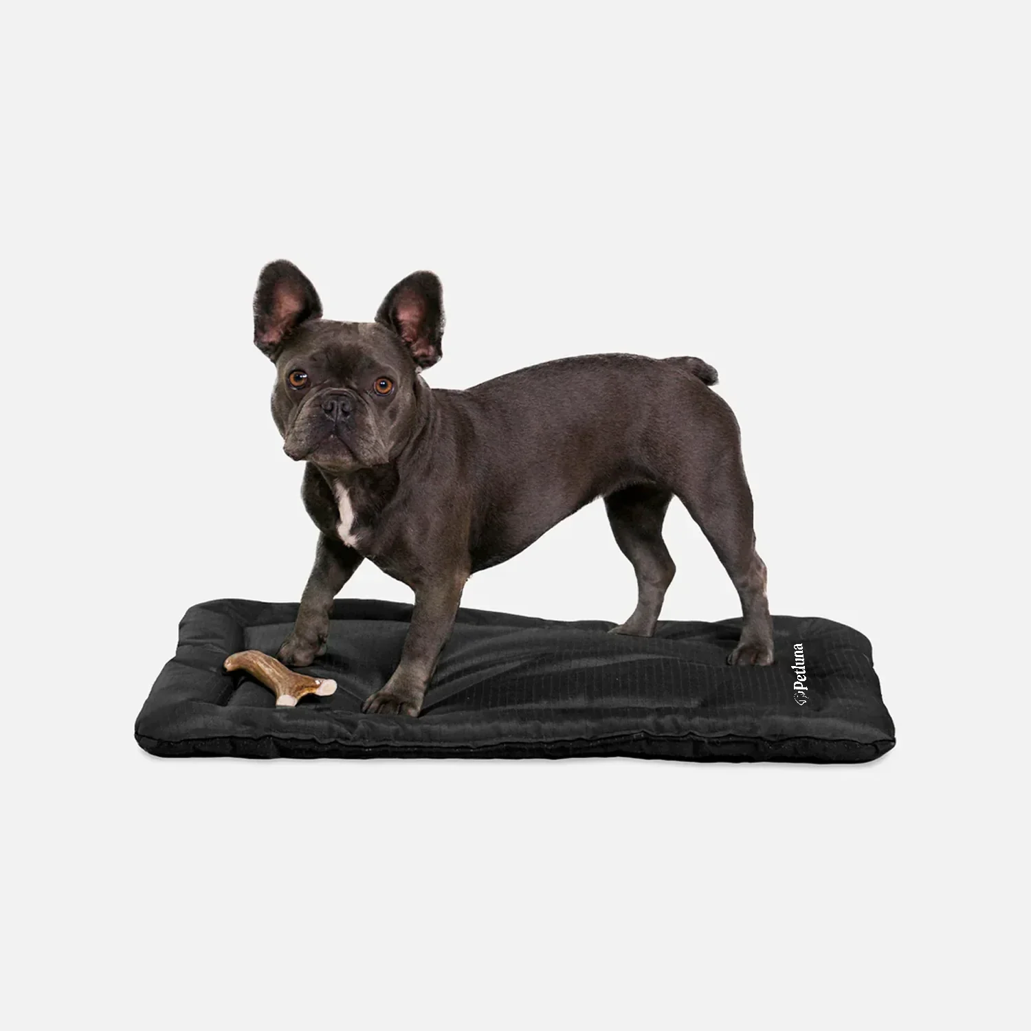 Petluna - Travel Mat 2.0