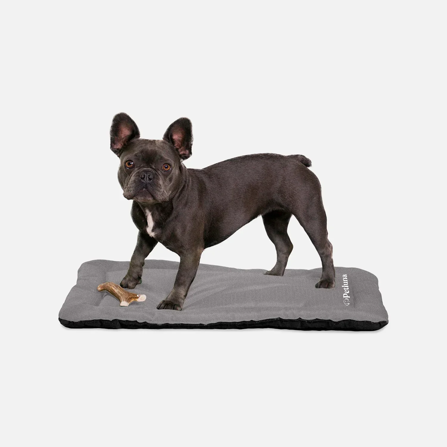 Petluna - Travel Mat 2.0