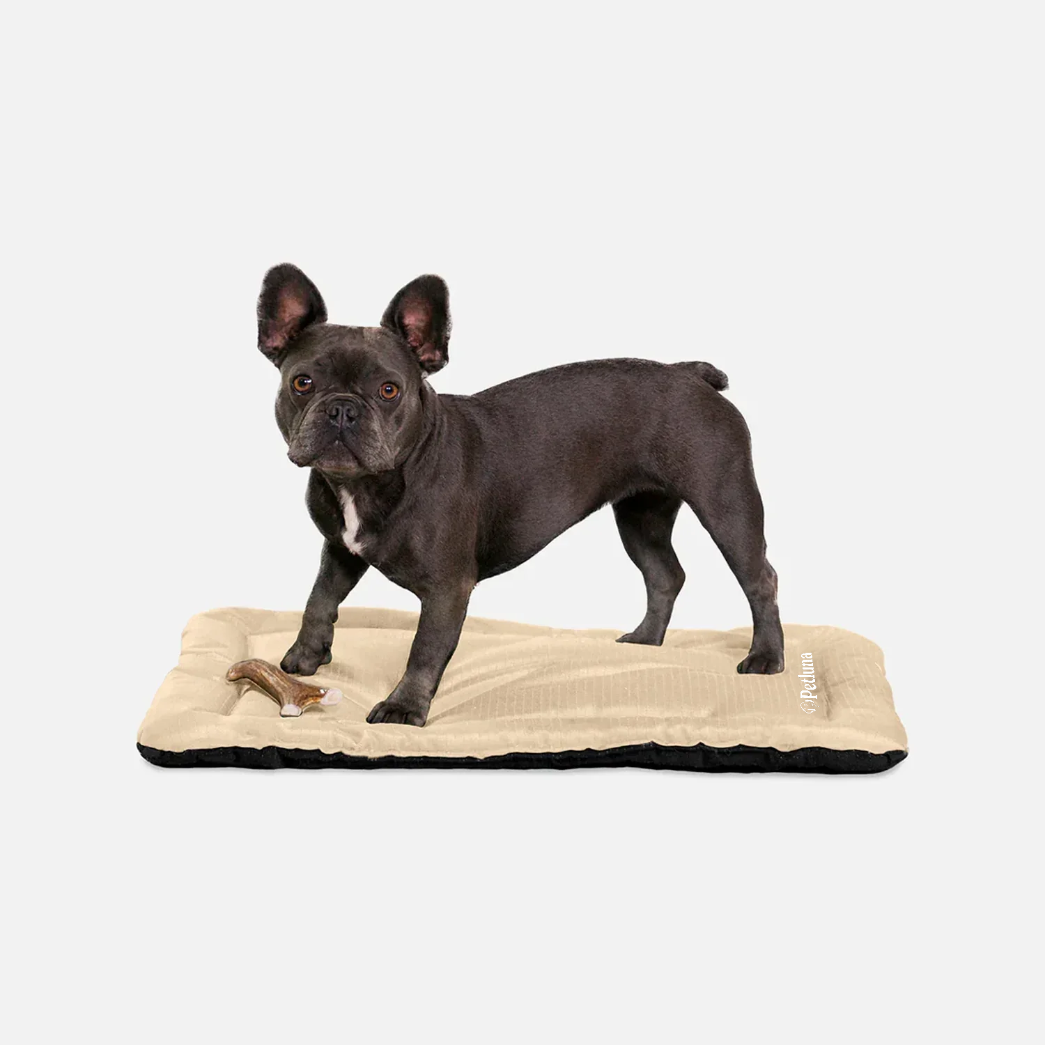 Petluna - Travel Mat 2.0